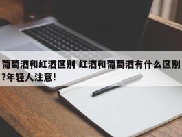 葡萄酒和红酒区别 红酒和葡萄酒有什么区别?年轻人注意!