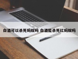 白酒可以杀死蚂蚁吗 白酒能杀死红蚂蚁吗