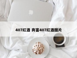 407红酒 奔富407红酒图片