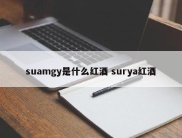 suamgy是什么红酒 surya红酒