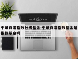 中证白酒指数分级基金 中证白酒指数基金是指数基金吗