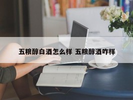 五粮醇白酒怎么样 五粮醇酒咋样